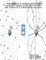 Implementation of intelligent optimization solutions for logistics problems in the north-east of Veracruz