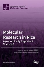 Molecular Research in Rice Molecular Research in Rice