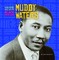 Muddy Waters