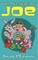 The Adventures of Joe
