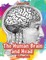 The Human Brain and Head Coloring Book