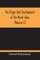 The Origin And Development Of The Moral Ideas (Volume Ii)