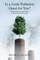 Is a Little Pollution Good for You?