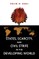 States, Scarcity, and Civil Strife in the Developing World