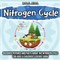 Nitrogen Cycle