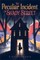The Peculiar Incident on Shady Street