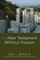 The New Testament Without Illusion