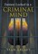 Fantasy Locked in a Criminal Mind