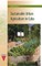 Sustainable Urban Agriculture in Cuba