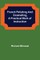 French Polishing and Enamelling, A Practical Work of Instruction
