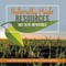 Naturally Made Resources and Their Importance Environmental Management Grade 3 Children's Science & Nature Books