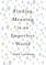 Finding Meaning in an Imperfect World
