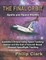 The Final Orbit - Apollo and Space Shuttle