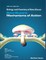 Biology and Chemistry of Beta Glucan