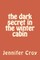 The dark secret in the winter cabin