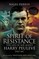 Spirit of Resistance