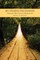 My Unexpected Journey