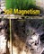 Soil Magnetism