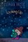 Looking Up