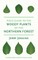 Field Guide to the Woody Plants of the Northern Forest