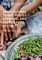 Agricultural Trade, Policy Reforms, and Global Food Security