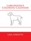 Labradoodle Coloring Calendar