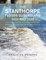 The Stanthorpe Floods Queensland 2021 and 2022
