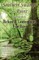 Southern Swamps and Ruins
