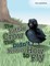 The Little Crow That Didn't Know How to Fly