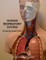 Human Respiratory System