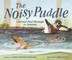 The Noisy Puddle