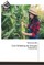 Corn Breeding for Drought Tolerance