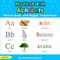 My First Irish Alphabets Picture Book with English Translations