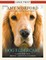 Dog Eldercare