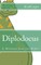 Diplodocus
