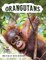 Orangutan Activity Workbook for Kids age 4-8!