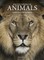 Encyclopedia of Animals