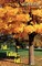 Fall...Falling...Fell...