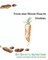 EatSmarts Nutrition Food and Mood Health Journal