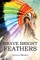 Brave Bright Feathers