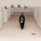 Lexy, My Cat