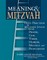 Meaning & Mitzvah