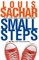Small Steps