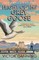 Flight of the Grey Goose