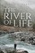 The River of Life