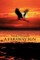 A Faraway Sun