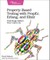 Property-Based Testing with Proper, Erlang, and Elixir