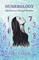 Numerology