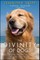 The Divinity of Dogs