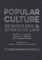 Popular Culture